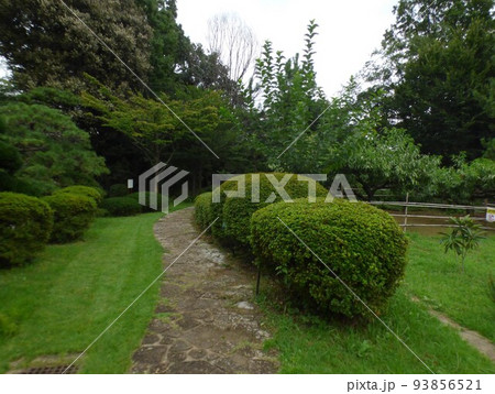 川崎市緑化センター　南武線宿河原駅  樹木園　芝生広場　盆栽展示場　温室  熱帯植物  令和4年8月 93856521