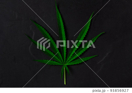 Cannabis leaf on black stone background, 93856927