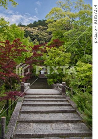 永観堂の参道 京都 日本 永観堂の参道 京都 日本 93857254