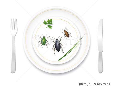 Eating bugs, insects, beetles. Noble fine porcelain crockery nicely prepared with three tasty bugs and healthy herbs. Delicious or disgusting meal. Vector illustration on white background.  93857973