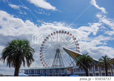 リゾートヤシの木と観覧車 93858737