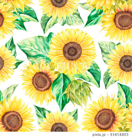 Sunflowers seamless pattern. Watercolor illustration. Isolated on a white background. 93858805