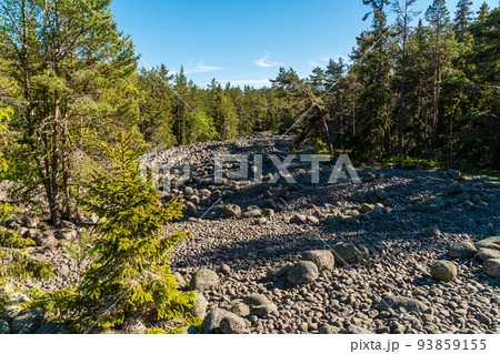 Russia. June 7, 2022. A stone river of boulders on the island of Gogland in the Gulf of Finland. Russia. June 7, 2022. A stone river of boulders on the island of Gogland in the Gulf of Finland. 93859155