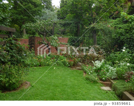 川崎市緑化センター 南武線宿河原駅 樹木園 芝生広場 盆栽展示場 温室 熱帯植物 令和4年8月 川崎市緑化センター 南武線宿河原駅 樹木園 芝生広場 盆栽展示場 温室 熱帯植物 令和4年8月 93859661
