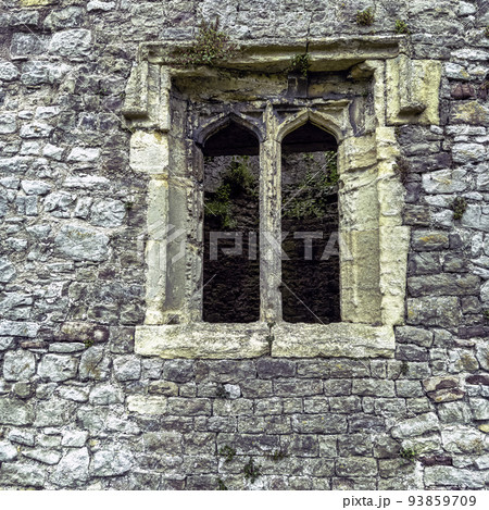 Remains of Chepstow Castle (Castell Cas-gwent) Remains of Chepstow Castle (Castell Cas-gwent) 93859709