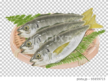 手描きのアジのザル盛り 93859715