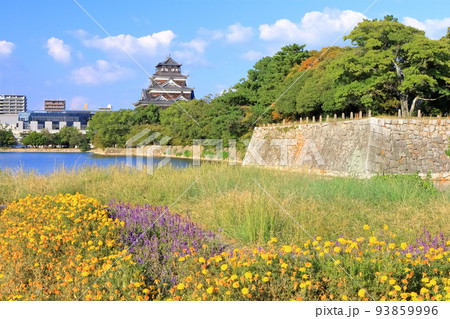 【広島県】内堀から見る秋の広島城（本丸と天守） 93859996