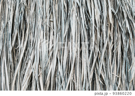 Long dry thin grass, agriculture harvest, pile of hay straw. Texture detail. Association brittle lifeless damage diseased hair. Thatched background wallpaper. Shades of gray brown more tone in stock Long dry thin grass, agriculture harvest, pile of hay straw. Texture detail. Association brittle lifeless damage diseased hair. Thatched background wallpaper. Shades of gray brown more tone in stock 93860220