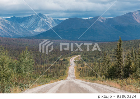 Road on Alaska 93860324