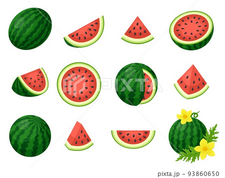 Fresh cartoon watermelon cut and slices. Diet fruits, tropical market vegan food. Isolated watermelons icons, sweet seasonal harvest garish vector graphic 93860650
