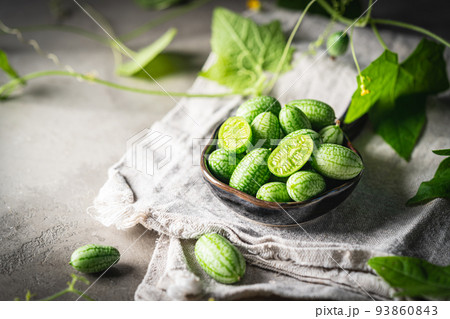 Cucamelon, Melothria scabra Cucamelon, Melothria scabra 93860843
