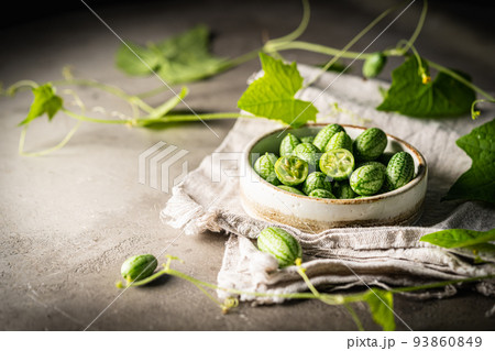 Cucamelon, Melothria scabra Cucamelon, Melothria scabra 93860849