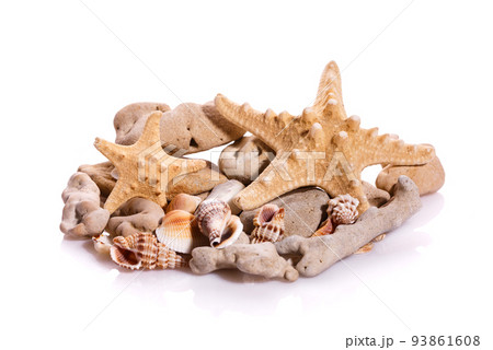 Some shells from the ocean isolated on white background. Some shells from the ocean isolated on white background. 93861608