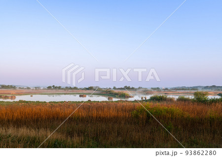 春の早朝で朝霧の蕪栗沼 93862280