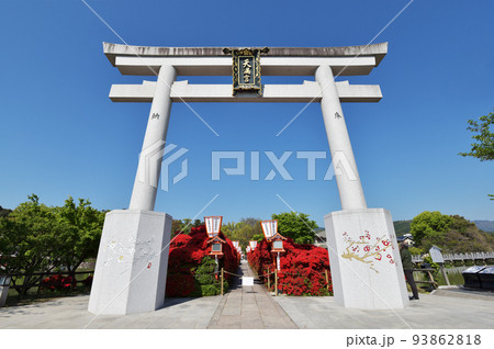 長岡天幡宮 大鳥居と霧島ツツジ 京都府長岡京市 長岡天幡宮 大鳥居と霧島ツツジ 京都府長岡京市 93862818