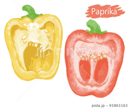 水彩風の野菜、パプリカ。ベクターイラスト素材 93863163