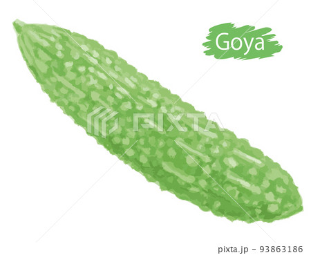 水彩風の野菜、ゴーヤ。ベクターイラスト素材 93863186