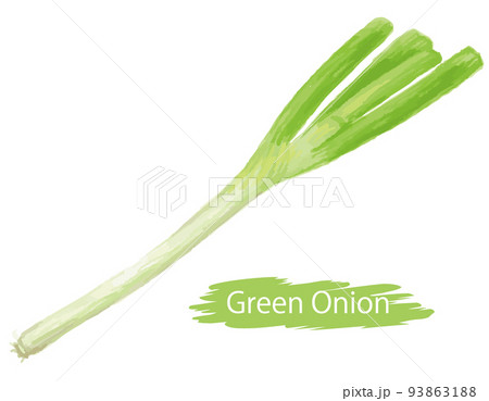 水彩風の野菜、長ネギ。ベクターイラスト素材 93863188
