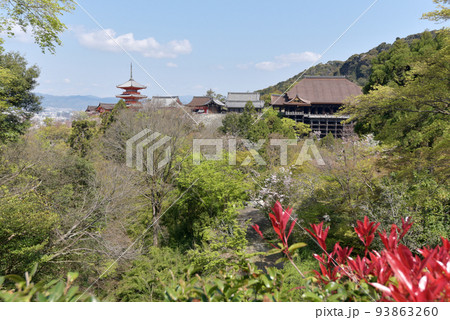 春の清水寺　舞台遠望　京都市東山区 93863260