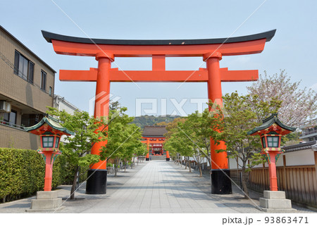 伏見稲荷　参道入口の大鳥居　京都市伏見区深草 93863471