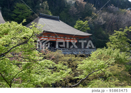 春の清水寺　奥の院　京都市東山区 93863475