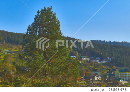 Wonderful pine tree, small village and coniferous forest in autumn in warm day 93863478