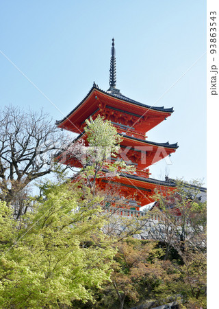 春の清水寺　三重塔　京都市東山区 93863543