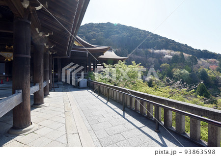 春の清水寺　境内　京都市東山区 93863598