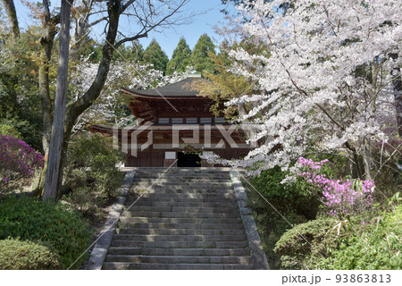春の三井寺 経蔵 滋賀県大津市 春の三井寺 経蔵 滋賀県大津市 93863813