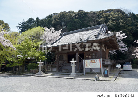 春の三井寺　桜と微妙寺　滋賀県大津市 93863943