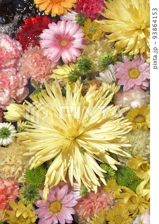 花模様 花飾り 花模様 花飾り 93864153