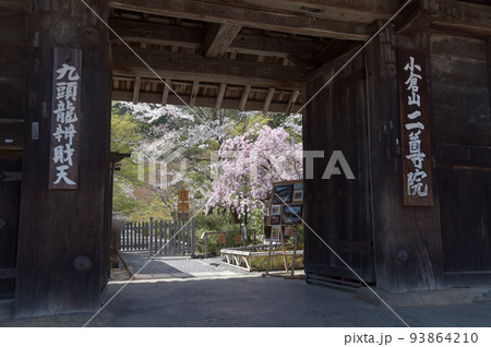 二尊院　総門から境内を望む　京都市右京区嵯峨 93864210