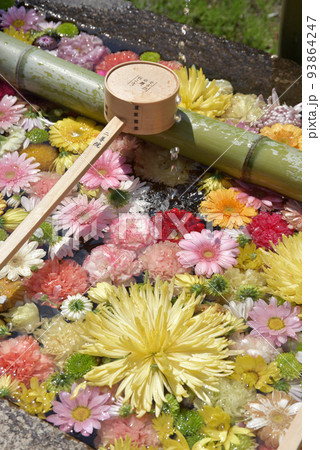 二尊院　花の手水鉢　京都市右京区嵯峨 93864247