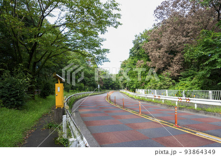 多摩湖と狭山湖との間の道路沿いのナラ枯れの樹木 93864349