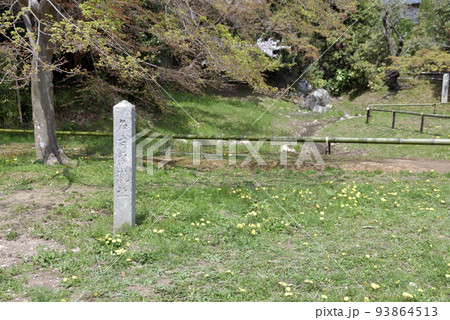 春の大覚寺　名古曽の滝跡　京都市右京区嵯峨 93864513