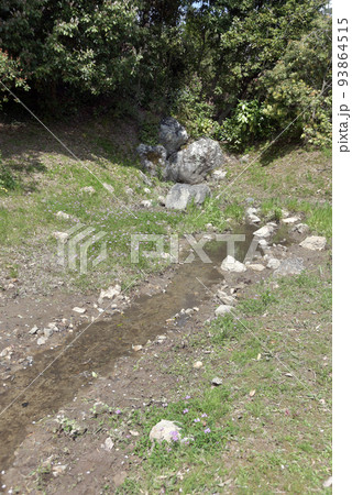 春の大覚寺 名古曽の滝跡 京都市右京区嵯峨 春の大覚寺 名古曽の滝跡 京都市右京区嵯峨 93864515