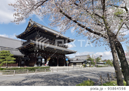 春の東本願寺 御影堂門 京都市下京区 春の東本願寺 御影堂門 京都市下京区 93864598