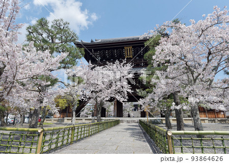 春の金戒光明寺　山門　京都市左京区黒谷 93864626