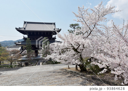 春の金戒光明寺　山門　京都市左京区黒谷 93864628