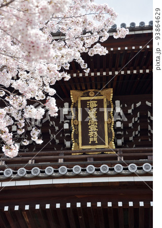 春の金戒光明寺　山門の額　京都市左京区黒谷 93864629