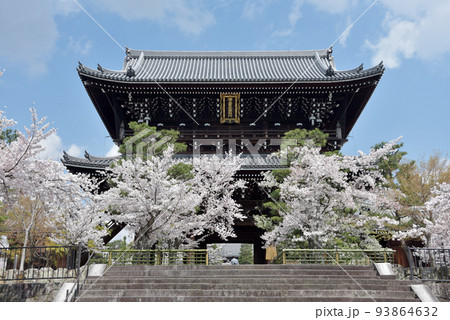 春の金戒光明寺　山門　京都市左京区黒谷 93864632