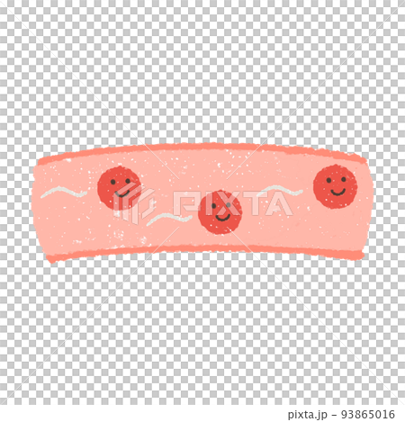 手描きのスイスイ流れる血管 93865016