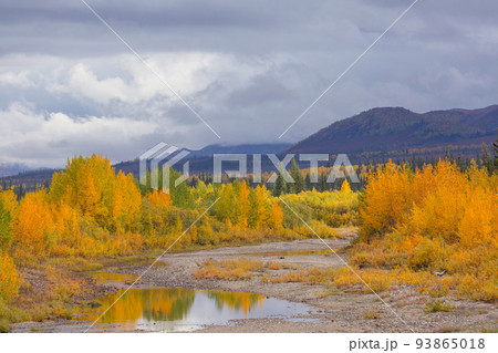 Autumn in Alaska 93865018