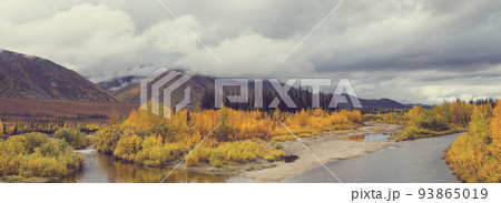 Autumn in Alaska 93865019