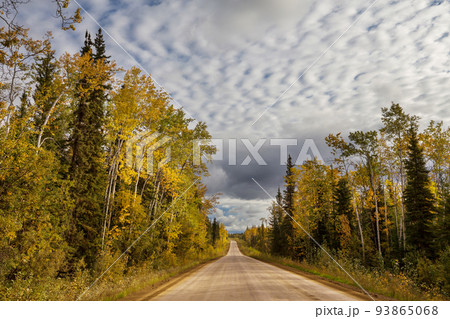 Autumn road Autumn road 93865068
