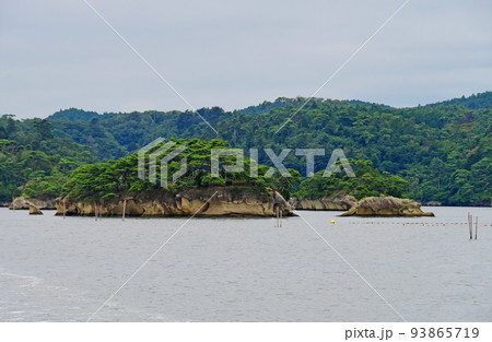 宮城県　利府町　松島湾　観光船から見る在城島と馬の鞍掛島 93865719