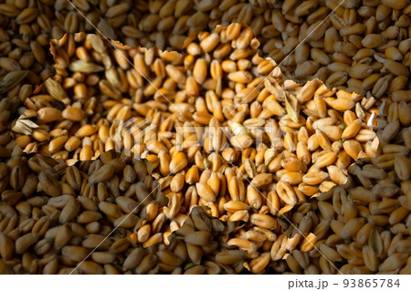 Defocus food crisis. Ukraine map. Global and European grain and wheat crisis in Ukraine. Export barley. Farming. Oats, barley, rye on ukrainian flag background. Out of focus Defocus food crisis. Ukraine map. Global and European grain and wheat crisis in Ukraine. Export barley. Farming. Oats, barley, rye on ukrainian flag background. Out of focus 93865784