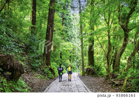 高尾山　高尾山薬王院　表参道　登山道一号路　夏の風景 93866163