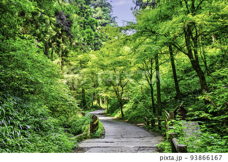 高尾山 高尾山薬王院 表参道 登山道一号路 夏の風景 高尾山 高尾山薬王院 表参道 登山道一号路 夏の風景 93866167