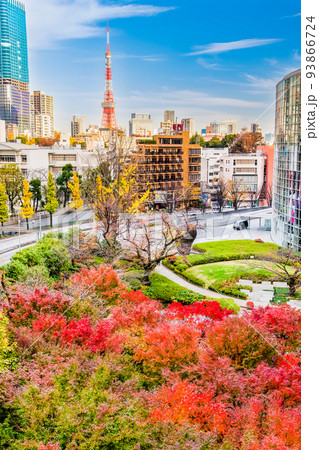 東京都港区　紅葉の毛利庭園 93866724